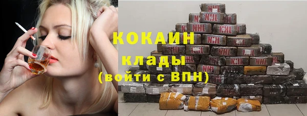 прущие грибы Баксан