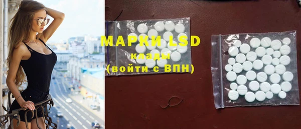 прущие грибы Баксан