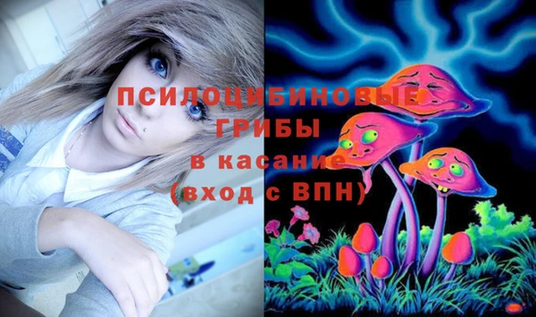 ПСИЛОЦИБИНОВЫЕ ГРИБЫ Алексин