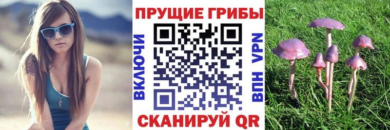 Купить где  Карасук  Галлюциногенные грибы мухоморы 