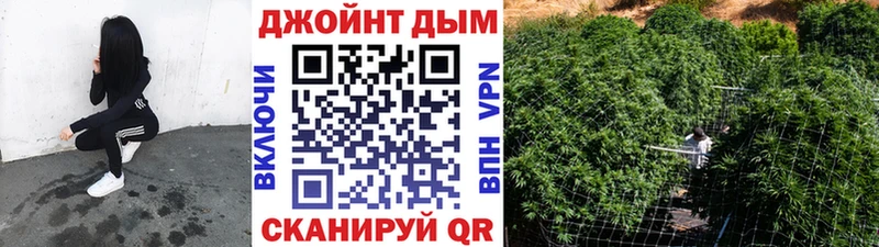 Бошки марихуана Amnesia Купить где Карасук